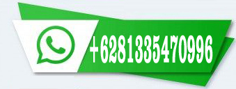 Whatsapp Official