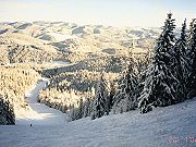 Pamporovo, 20 January 2002