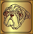 http://www.geocities.com/bulldogboos/bulldogboos/links.html