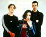 ba031.jpg (18003 Byte)