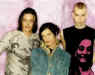 ba062.jpg (16799 Byte)