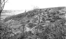 Kraterlandschaft vor Verdun, 1918