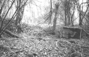 Die Reste der zerst�rten Batterie 5-4 de Vaux, 1993