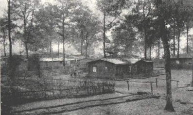 Barackenlager an der Hhe 304, 1916