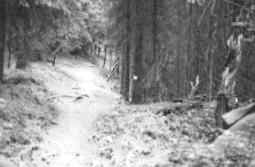 Der H�henr�cken, 1993