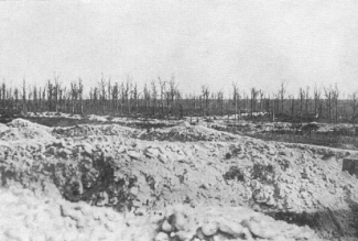 Toter Mann, Rabenwald, 1917