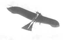 Rumpler-Taube als Aufklrungsflugzeug, 1914