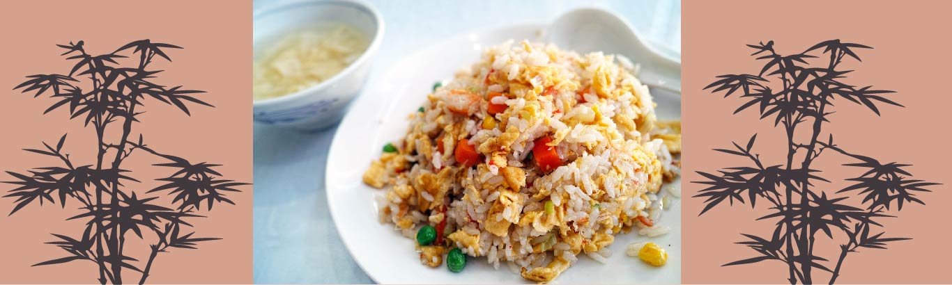 friedricebanner