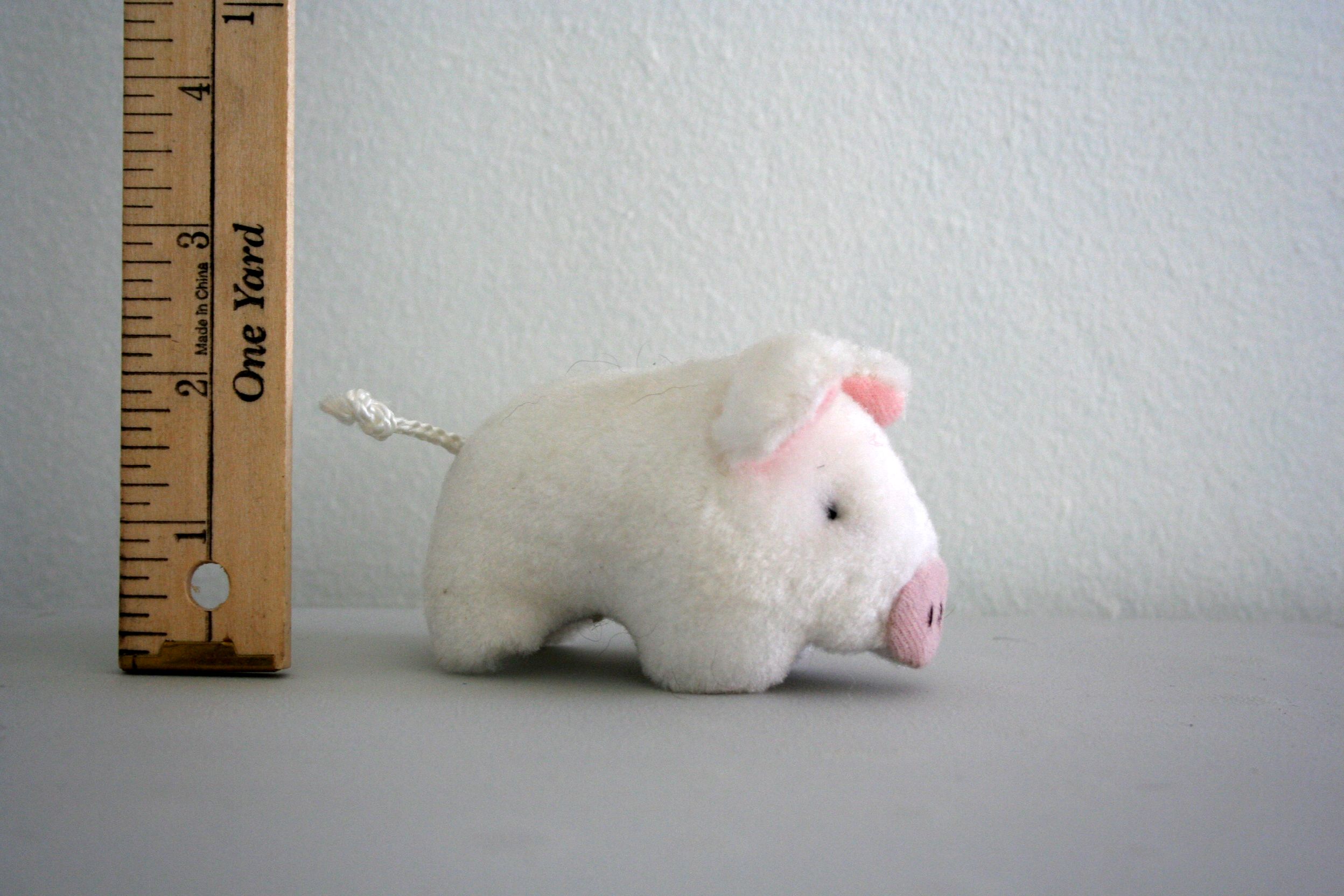 CERDITO