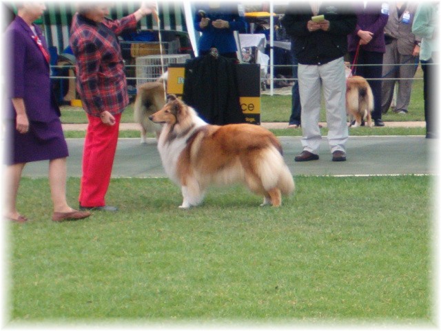 'Breea' with Glenda Anzac day 2007