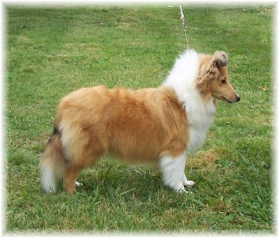 'Peppe'r @ 6mths