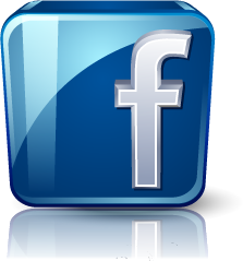 Link to BurgerEarth Facebook Page