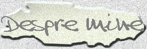 Despre mine