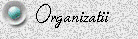 Organizatii