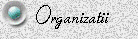 Organizatii
