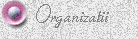 Organizatii