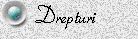 Drepturi
