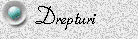 Drepturi