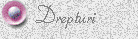 Drepturi