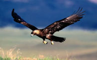 Image 04