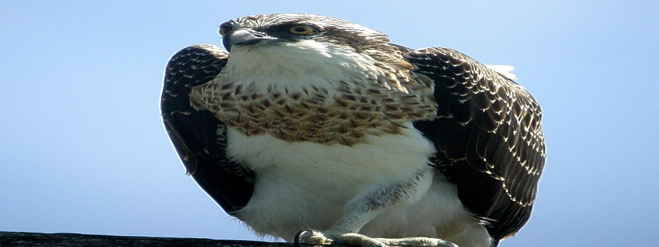 Slider 04