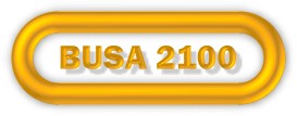 busa2100logo.jpg (8307 bytes)