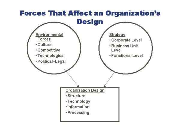 Images/Slide06.jpg