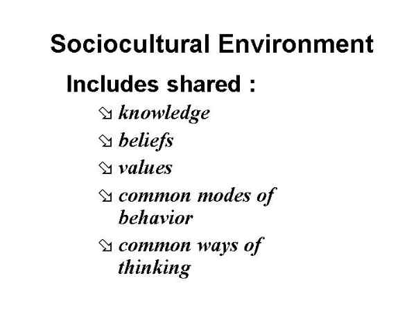 Images/Slide15.jpg