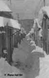 Alley-way Huts