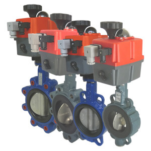 iron butterfly valves in India