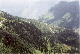 La strada tra Delhi e Manali