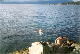 Bagno a Narvik
