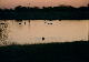 Etosha National Park - Animali al tramonto