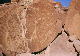 Graffiti a Twyfelfontein
