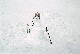 Pupazzo di neve al Campo 1