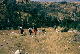 Salita al campo base dell'Huascaran