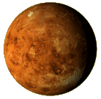 Beautiful Venus