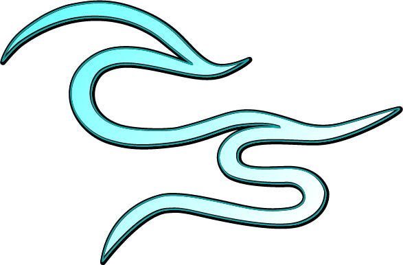 CS Logo