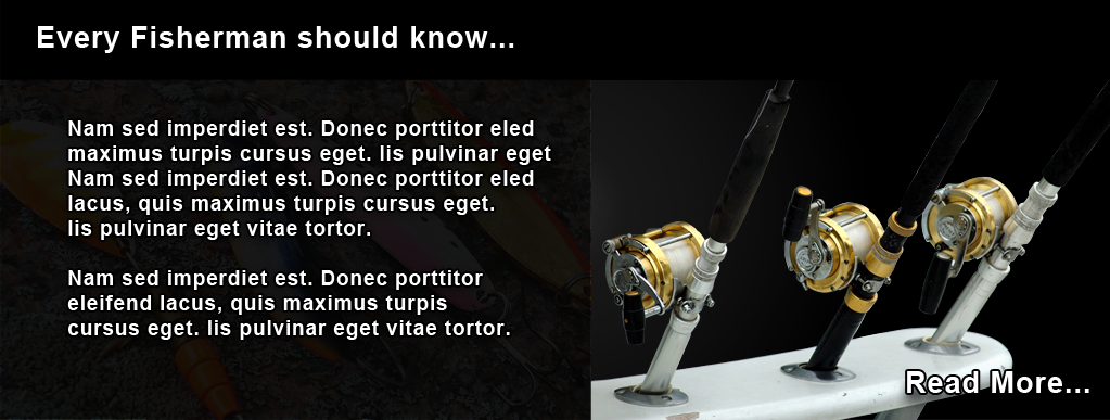 Second slide image