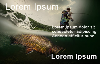 Second slide image