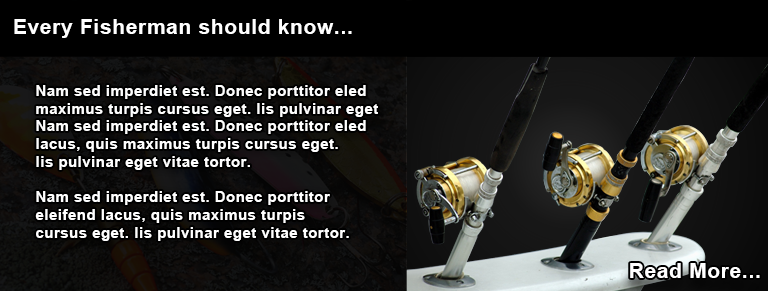 Second slide image