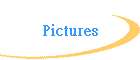 Pictures
