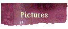 Pictures