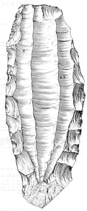 nucl�us livre de beurre, © AMGP