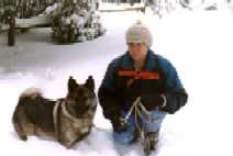 ZEKE - enjoying the snow. Click for more. 