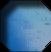 animated - meteor rock (841,5 kb)