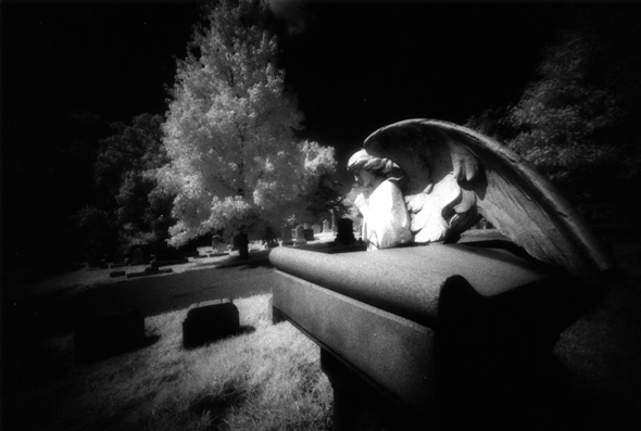 Baltimore Cemeteries - by chuckv