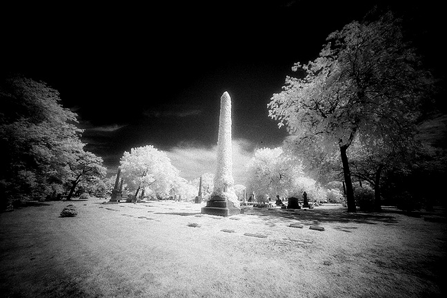 Graceland - by chuckv