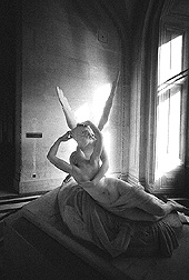 Louvre