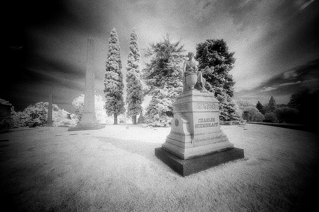 Spring Grove - by chuckv